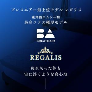 マットレス ブレスエアー レガリス シングル ...の詳細画像3