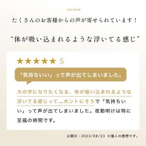マットレス ブレスエアー レガリス クイーン ...の詳細画像5
