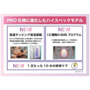 ルクセア 鼻専用美顔器 ルクセアフォーネスPR...の詳細画像5