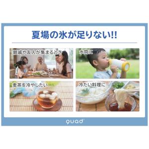 クワッズ 高速製氷機 アイスコロン QS547...の詳細画像5