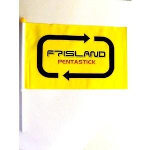 FTIsland FTアイランド　　Pentastick 旗 NEW｜shopchoax2