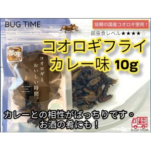 BUG TIMEコオロギフライ カレー味 10g タンパク質 人気 おつまみ 国産 珍味 罰ゲーム ドッキリ イタズラ サプライズ  インスタ映え