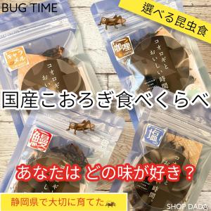BUG TIMEコオロギフライ 食べ比べ 10g  選ぶ4種類おつまみ 珍味 罰ゲーム ドッキリ イタズラ インスタ映え