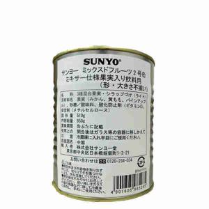 送料無料 ミックスドフルーツ ミキサー仕様 果実入り飲料用 形大きさ不揃い サンヨー 820g 12個｜shopdaihei