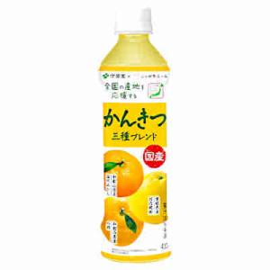 送料無料 ニッポンエール 国産かんきつ3種ブレンド 伊藤園 410ml ペット 24本入｜shopdaihei