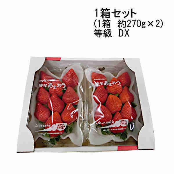 送料無料 博多 あまおう いちご 等級DX 福岡県産 約270g×2パック