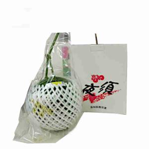 　　10月下旬-11月上旬以降　着日指定不可　温室すいか　ルナピエナ　高知県　夜須地域　約1.6-3.3kg　1玉　秀品