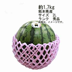 送料無料 小玉西瓜 ひとりじめ 熊本県 その他 1玉 約1.7kg サイズ 2L ランク 秀品｜shopdaihei