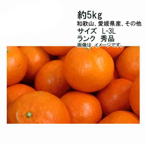 送料無料 セミノール 約5kg 和歌山 愛媛県、その他産 サイズ L-3L ランク 秀品