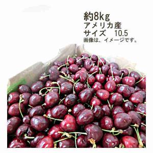 送料無料 予約 5月下旬-6月上旬発送 アメリカンチェリー アメリカ産 約8kg サイズ 10.5｜shopdaihei