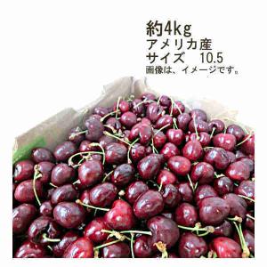 送料無料 予約 5月下旬-6月上旬発送 アメリカンチェリー アメリカ産 約4kg サイズ 10.5｜shopdaihei