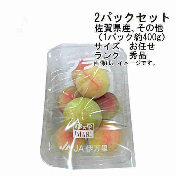 送料無料 プラム すもも （大石早生）佐賀県その他 2パックセット （1パック約400g） サイズ ...