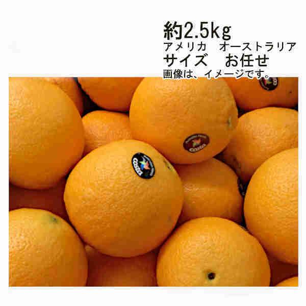送料無料 ネーブルオレンジ アメリカ オーストラリア 約2.5kg サイズ お任せ