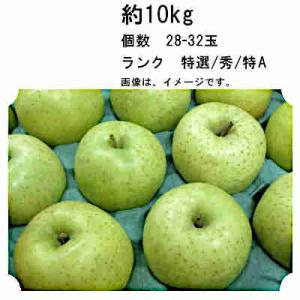 乙女りんご10キロ前後 アルプス乙女 ちっちゃいりんご 10kg S〜3L混 : くだもの屋 - 通販