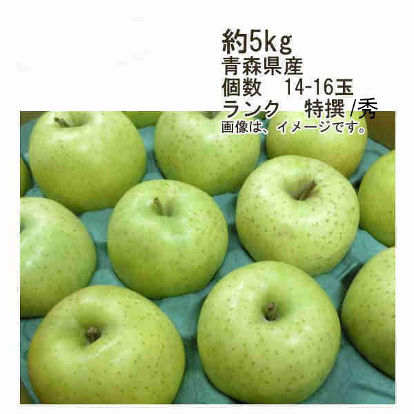 送料無料 王林 りんご 青森県産 約5kg 個数 14-16玉 ランク 特選/秀