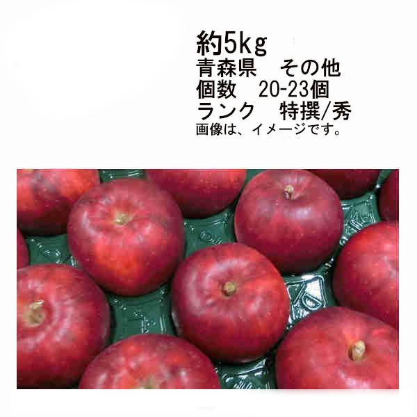 送料無料 紅玉りんご 青森県 その他 約5kg 個数 約20-23玉 ランク 特選/秀