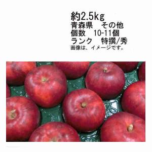 否バラ詰め【B級品・紅玉・20kg（20キロ） 用 木箱 サイズ ダンボール