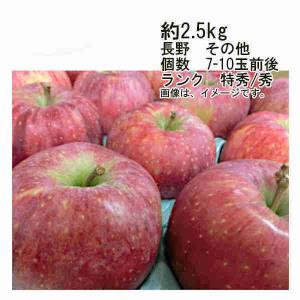 送料無料 シナノリップ りんご 長野県産 その他 約2.5kg 個数 7-10玉前後 ランク 特秀/秀