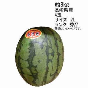 送料無料 予約 4月下旬-5月上旬発送 小玉すいか うり坊 長崎県 約8kg 個数4玉 サイズ2L ...