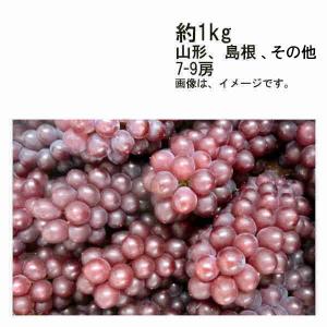 送料無料 種無し デラウェア ぶどう 約1kg 房数お任せ 山形 島根 その他｜shopdaihei