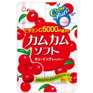 ライオン菓子 カムカムソフトチューイングキャンディー 42g×10袋