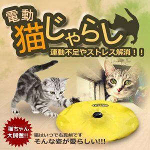 運動不足やストレス解消 ひとりで遊べる電動おもちゃ 組み立ては簡単 すぐに遊べる 電動猫じゃらし ET-CATJ