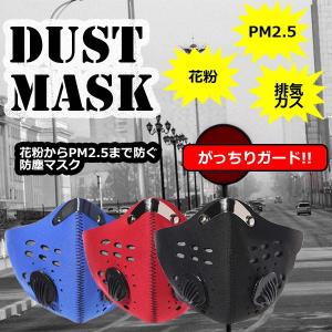 PM2.5 防塵マスク ほこり ハウスダスト 活性炭 フィルター アウトドア 花粉症 対策 ET-MFKZ001