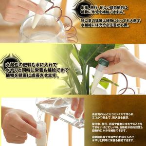 自動水やり器 8個セット 観葉植物 自動給水器...の詳細画像2