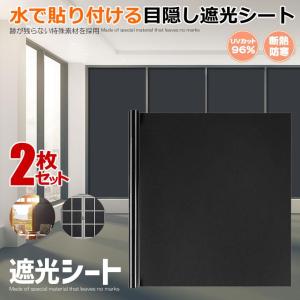 窓用フィルム 2枚セット Lサイズ 目隠しシート 遮光シート