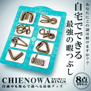 自粛中 知恵の輪 8点セット 遊び 玩具 知育 子供 大人