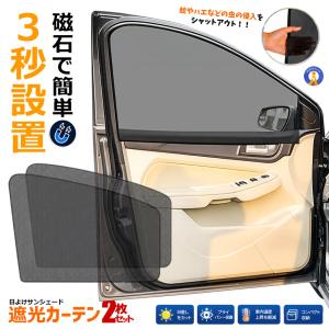 ウィンドウネット フロントドア用 2枚 左右セット WP-30 メルテック 車