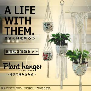 プラントハンガー 3種類セット 吊り下げ 天井 グリーン用