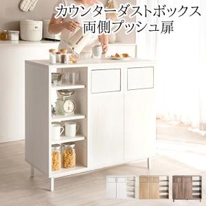 キッチンカウンター ダストボックス 二連式ゴミ箱 収納棚付き 両側プッシュ扉 大容量45L 調味料｜shopfamous