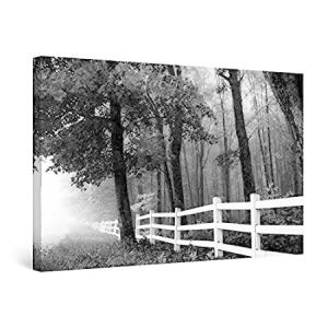 Startonight Canvas Wall Art Black and White Abstract Forest Road Nature Lan