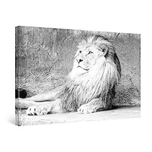 Startonight Canvas Wall Art Black and White Abstract Lion King Animals Jung