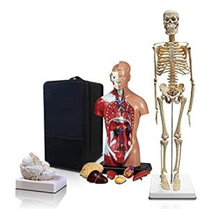 Parco Scientific PBM-B2 Elementary and High School Learning Package. Set of