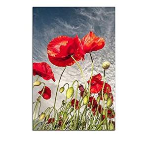 Startonight Glass Wall Art - Poppies in the Field Decor - Tempered Acrylic