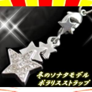 【送料無料2千円以上ご購入】開運!風水!冬のソナタモデル ラ...