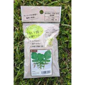 ルッコラ 栽培の商品一覧 通販 Yahoo ショッピング