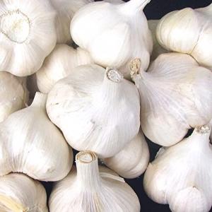 青森期待の新人商店 青森 にんにく 1kg 業務用 C品 Mサイズ中心 根土付き 国産 ニンニクの商品画像