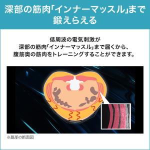 ベルト型EMS機器 アクティブスレンダー アー...の詳細画像4