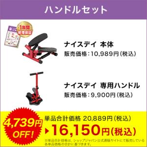 健康ステッパー ナイスデイ ハンドルセット 正...の詳細画像1
