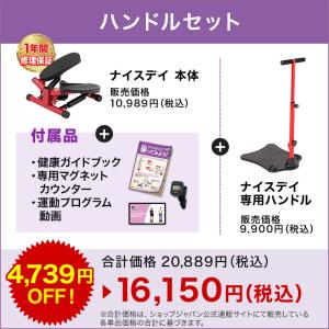 健康ステッパー ナイスデイ ハンドルセット 正...の詳細画像1