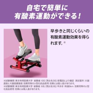 健康ステッパー ナイスデイ ハンドルセット 正...の詳細画像4