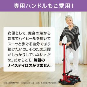 健康ステッパー ナイスデイ ハンドルセット 正...の詳細画像5