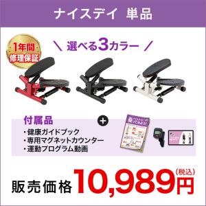 健康ステッパー ナイスデイ 正規品 ナイスデー...の詳細画像1
