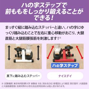 健康ステッパー ナイスデイ 正規品 ナイスデー...の詳細画像3