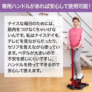 健康ステッパー ナイスデイ 正規品 ナイスデー...の詳細画像5