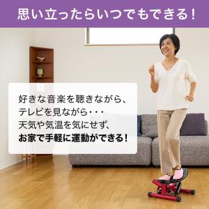 健康ステッパー ナイスデイ 正規品 ナイスデー...の詳細画像5