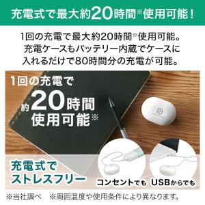 集音器 楽ちんヒアリング SA-01 快適セッ...の詳細画像4